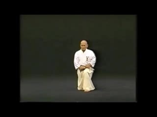 Hakuo sagawa muso shinden ryu omori ryu