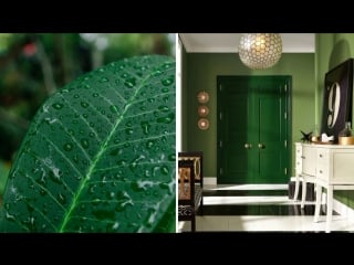 Colors we love emerald green sherwin williams