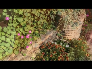 Ролик о ривьере от наших юных гостей