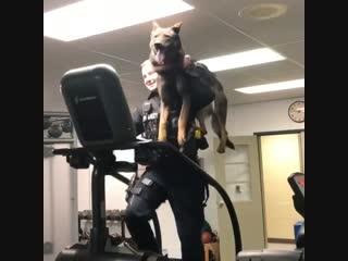 He insisted upon doing cardio with human