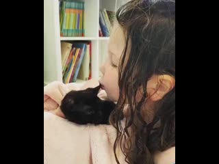 Kitten to catz 20200801 1 mp4