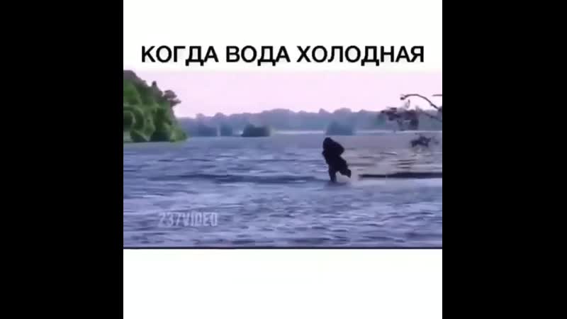 Когда вода холодная