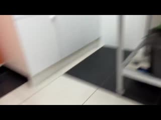 [yan reyzen] знакомьтесь, мой кот 😼