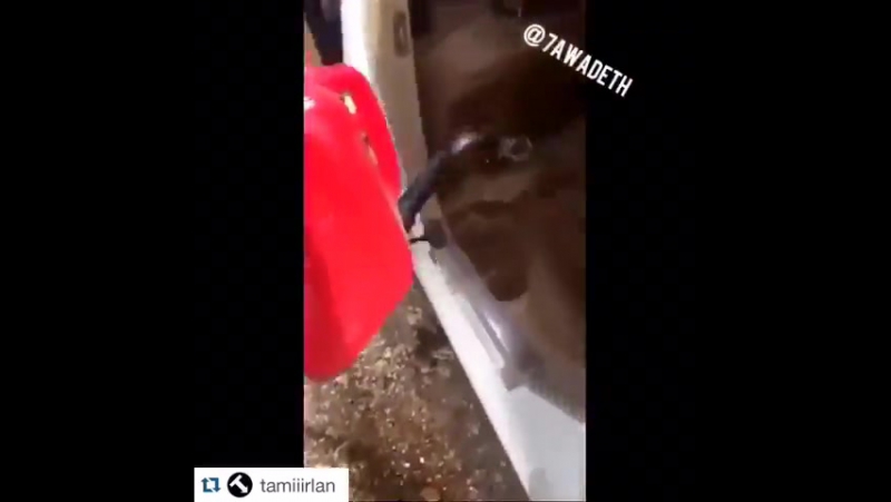 Арабы зажрались