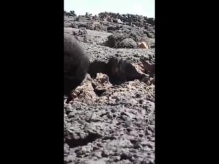 S syria excerpt from battle on front of safa volcanic field e of suweida where isis snipers are the biggest threat video shot