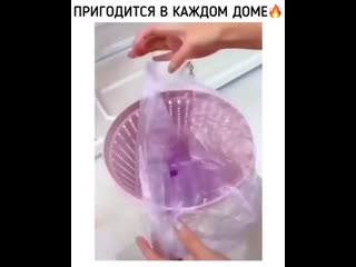 Lifexak video 20200823 11 mp4