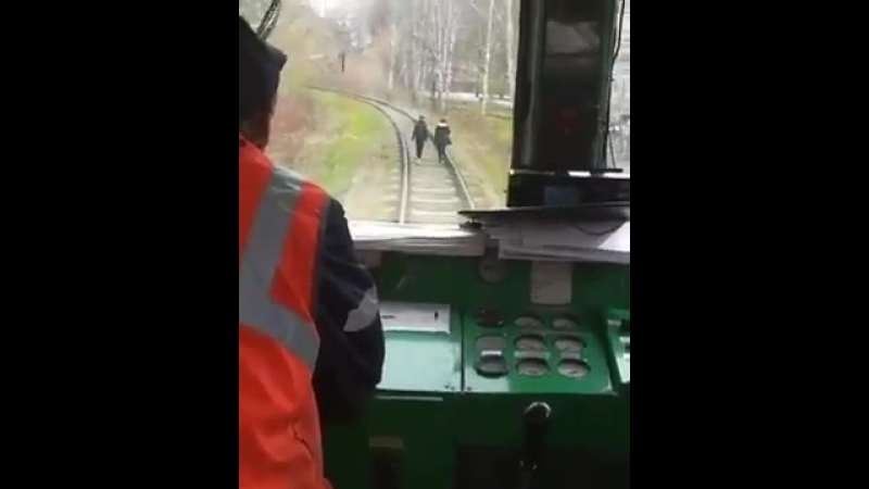 Гудок и шкуры