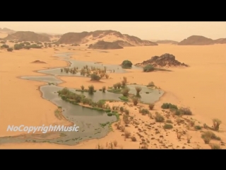 (house) t i m malika desert rose (sting cover mix)