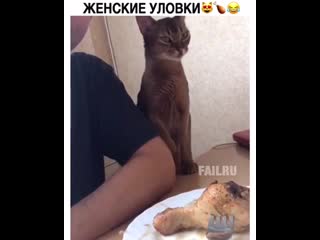 Узнали свою жену?)))