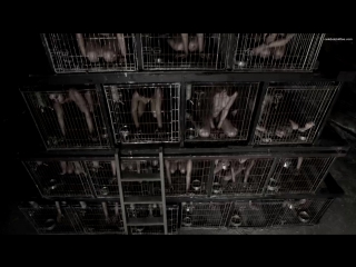 Pawn shop chronicles (2013)