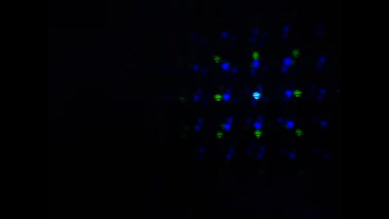 13 holger czukay die biomutanten