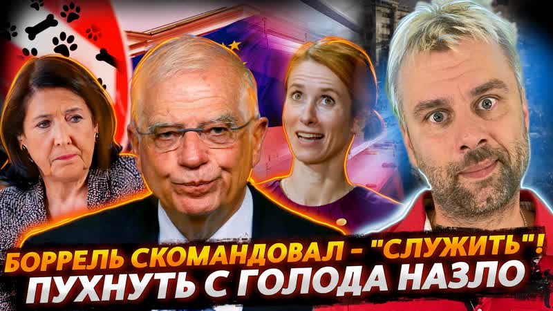 Служить! или путь в кандидаты ес | гробить страну лучше в компании | переобувашки по американски
