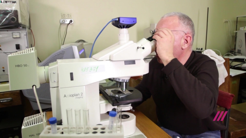 Анонс разумная жизнь с павлом лобковым