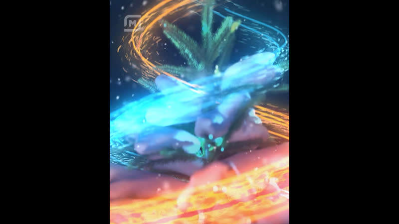 Елочный базар