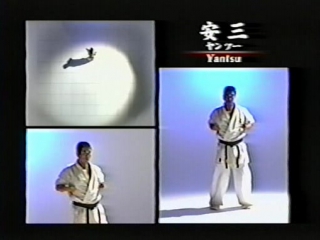 Shinkyokushinkai video 2