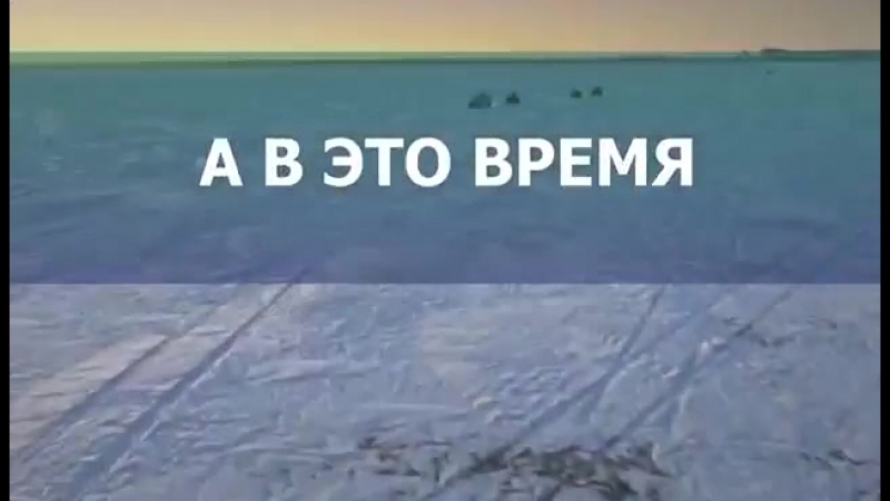 Рыбы porn video – Голодный и жесткий китайский сосед оставил без рыбы хабаровчан
