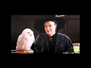 Minerva mcgonagall | harry potter vine