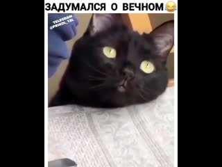 Задумался о вечном