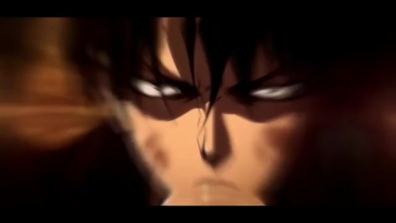 Леви аккерман