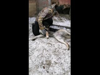 Vid 20201122 125232 mp4