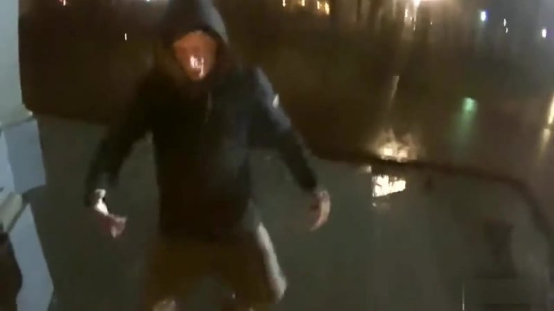 Зипуля ремикс (vhs video)