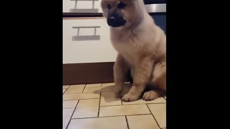 Evеry timе hе gеts his favоritе fооd