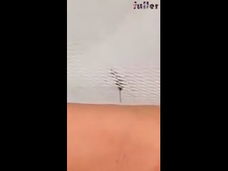 Когда не очень хочешь чтобы тебе сосали
