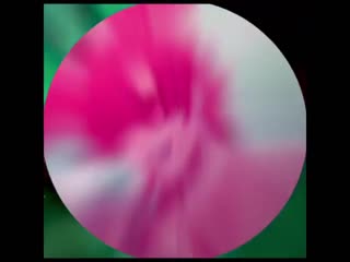 ▹ fire emblem three houses; sylvain