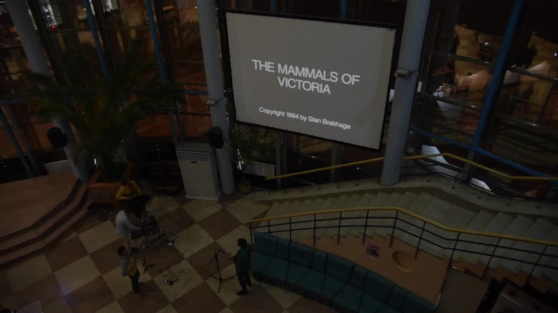 Duso &amp; никита бондаренко the mammals of victoria (stan brakhage movie)