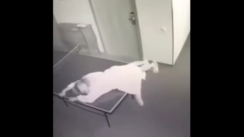 Тупые дефки