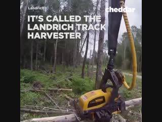 This harvester eats branches 🍽🌲