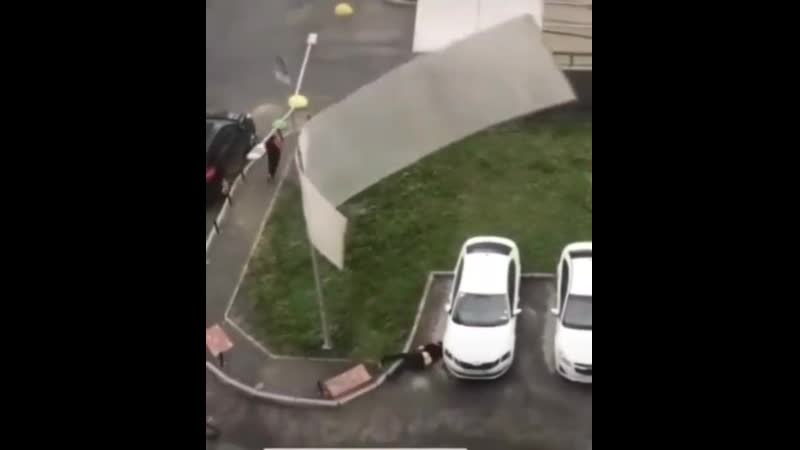 Ударило листом