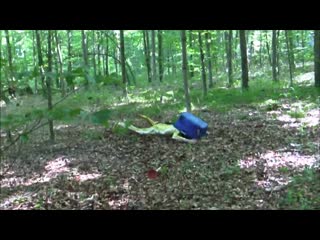 How to catch the local degenerate porn tree fairy melonpan meidocafe channel