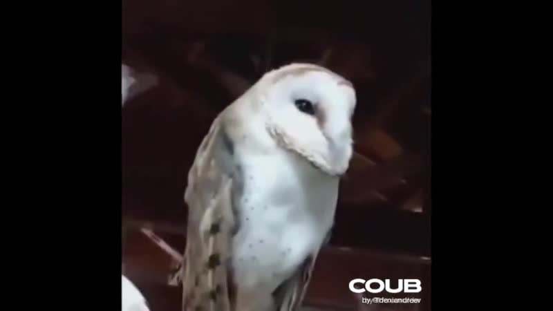 Когда посадили в дурку в одну камеру с ебанутым на голову d