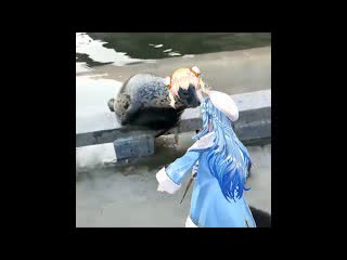 【vtuber廢片】lamy cat beats up nene seal 【桃鈴ねね。雪花ラミィ】【momosuzunene。yukihanalamy】【memes】