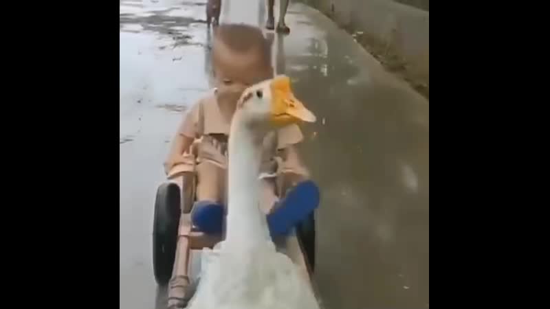 Карета подана