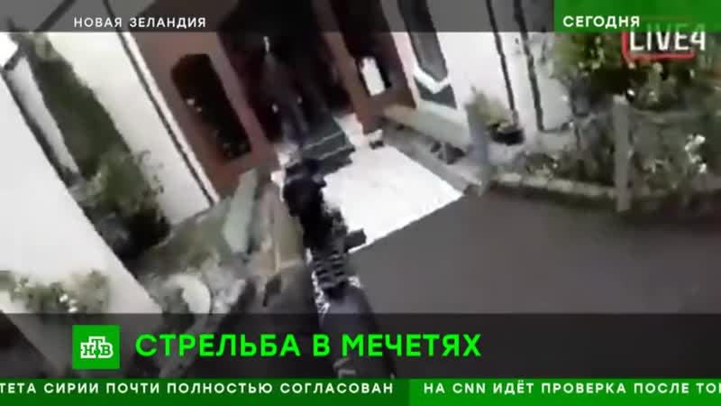 Новозеландский стрелок (15 марта 2019)