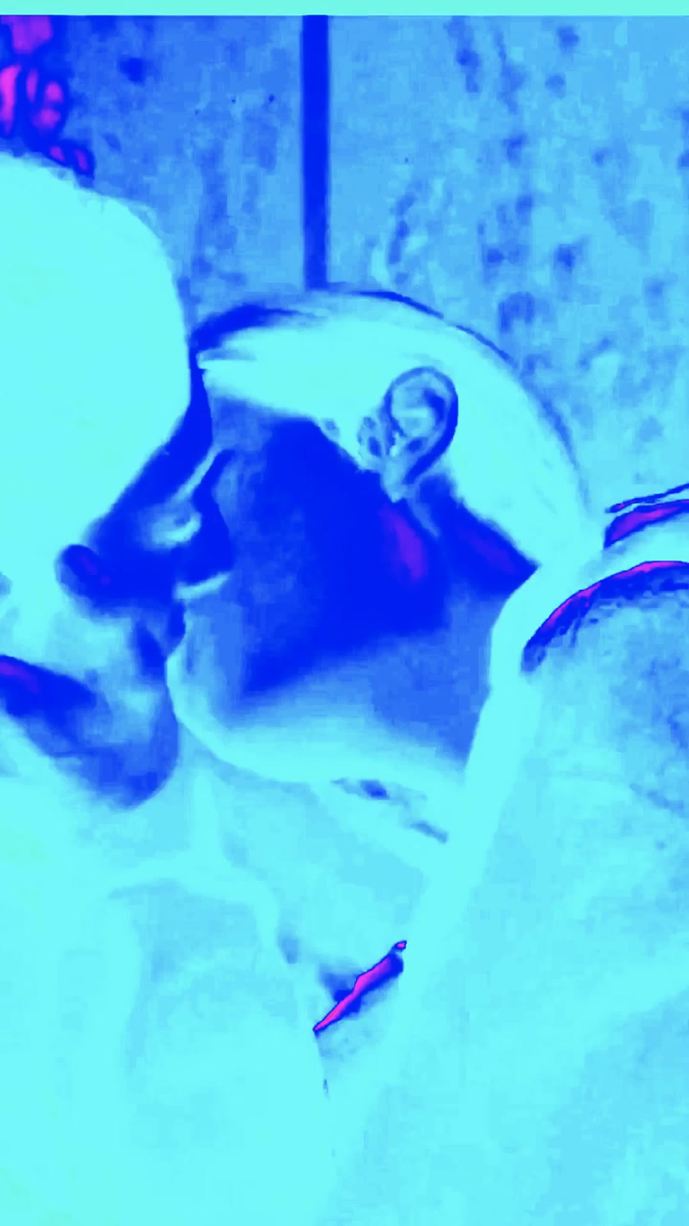 Their love illuminating the night