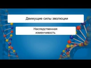 Биология 11 класс теория дарвина