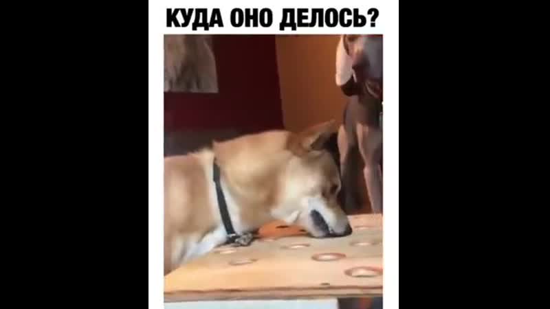 Достали эти кожаные