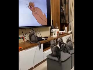 Hana kitty 20200427 8 mp4