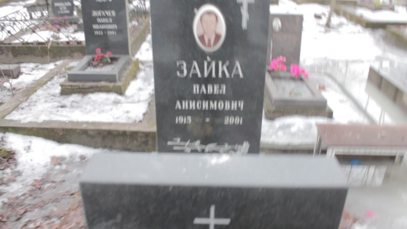 Були4бабули зайки