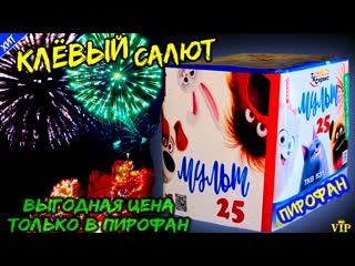 Салют 25 залпов средних, фейерверк "мульт" 20мм = 0,8" дюйма