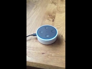 Alexa antwortet auf die frage was sind chemtrail