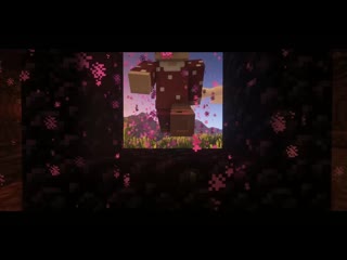 Nether heyted test