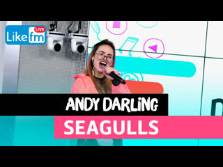 Andy darling seagulls (live @ like fm)