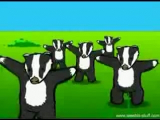 The badgers song