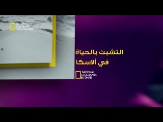 التشبث بالحياة في آلاسكا hd المعركة الأخيرة ep11