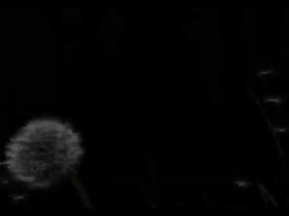 Clary fairchild [svbridence]