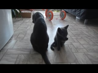 Ксюша с дочкой после усного обеда